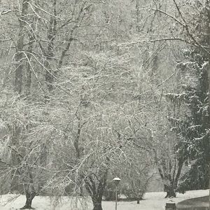 Meet your Posher, Mojgan